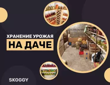 Хранение урожая на даче: какое помещение выбрать